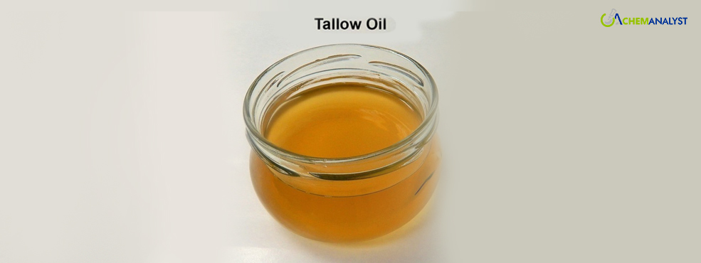 Global Tallow Oil Prices Set to Surge in February Amidst Positive Consumer Sentiments