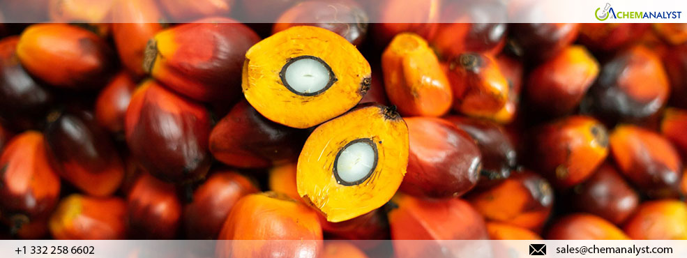 Government Official Announces Indonesia's Plan to Lower Palm Oil Export Levy