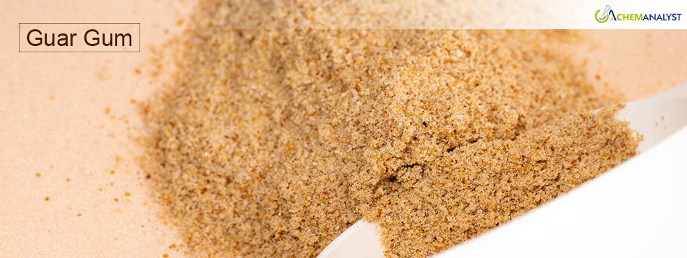 Guar Gum Market Shows Temporary Price Respite Amid Strong Future Outlook