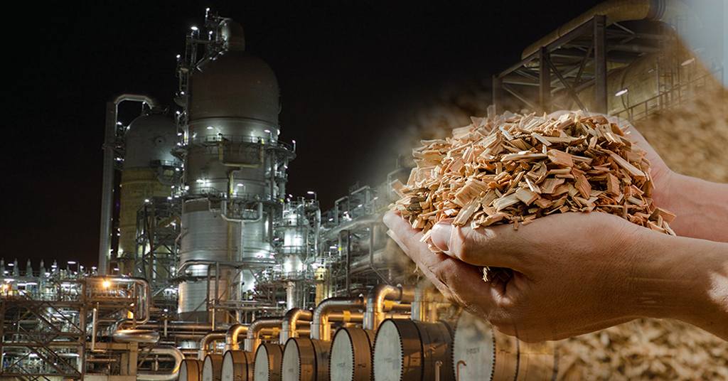Idemitsu Kosan, OPTC, and Marubeni Unite for Biomass PTA Supply Chain Development