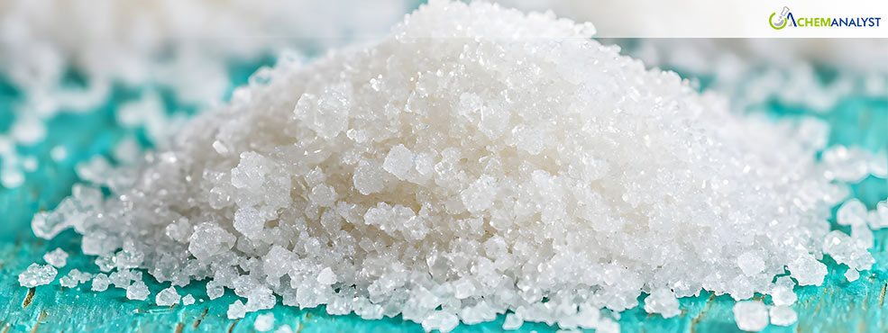 Import Pressures and Supply Chain Turmoil Drive Sodium Bisulfite Market Volatility