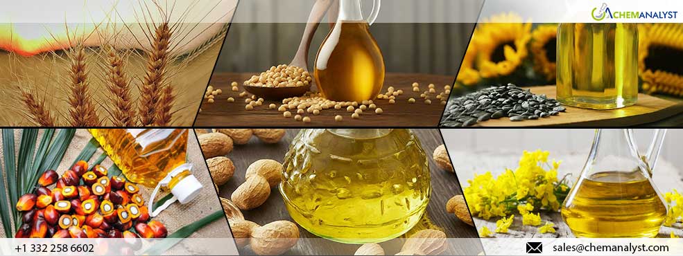 India Permits Imports of Corn and Vegetable Oils at Concessional Duties