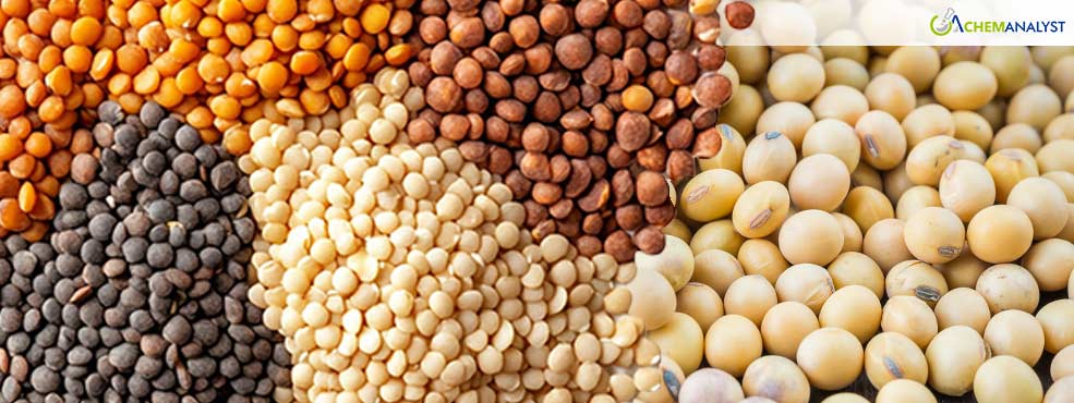 Indian Government Extends Procurement of Groundnut, Soybean, Pulses