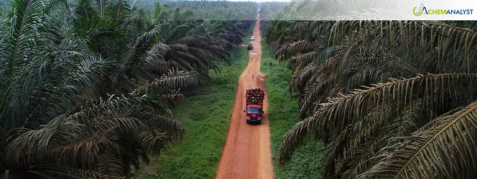 Indonesia to Assess Export Levies for Crude Palm Oil