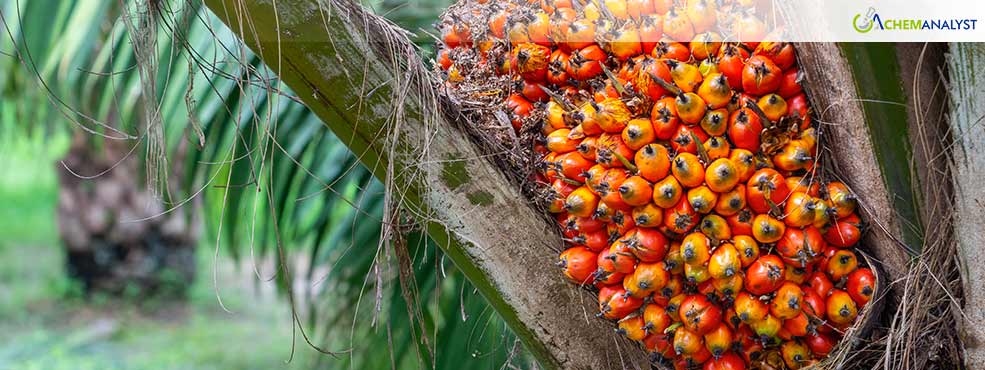 Indonesian Ban Creates Palm Oil Glut: Chemical Sector Faces Supply Chain Challenges