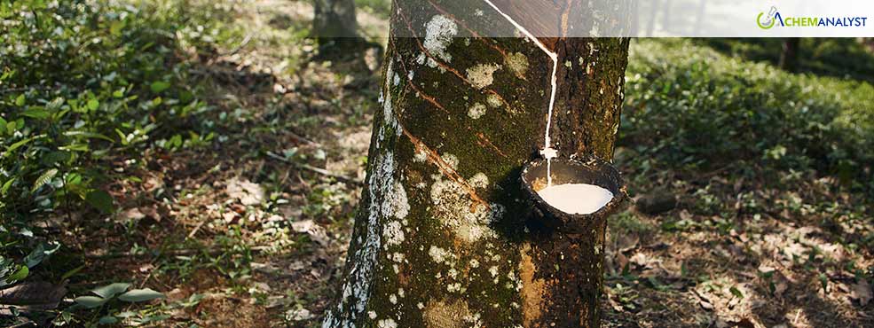 INROAD Project: A Game-Changer for Rubber Plantations and India’s Chemical Industry