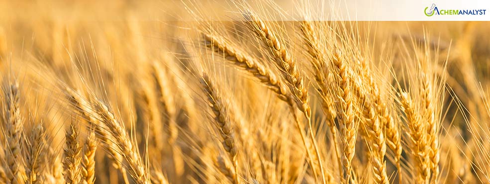 Kazakhstan Ready to Supply Egypt’s Wheat and Grains, Explores Agricultural Partnerships