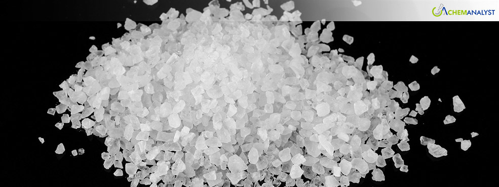 Magnesium Chloride Prices Decline in the US: Analysing the Factors Behind the Drop