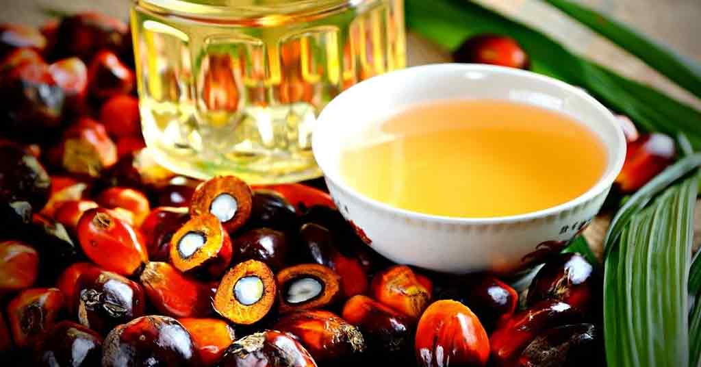 Malaysia Palm Oil Stocks Hit 4-Month Low Due to Output Slump