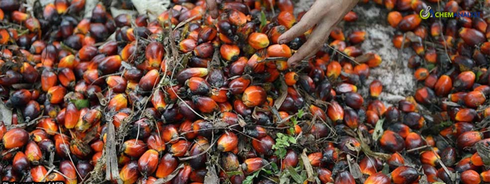 Malaysia to Keep an Eye on EU Palm Biofuel Limits Post WTO Verdict