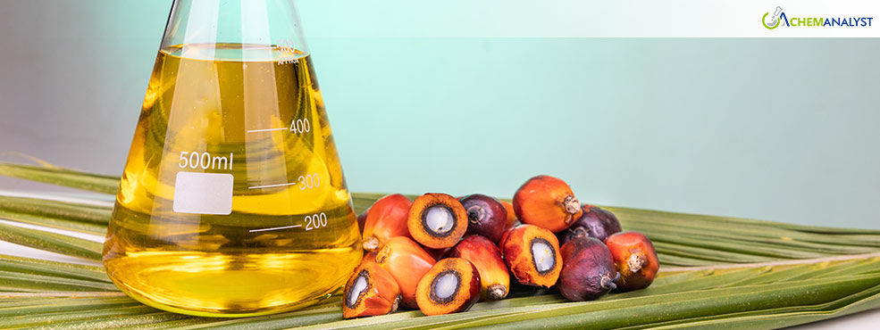 Malaysian Crude Palm Oil Market Soars High