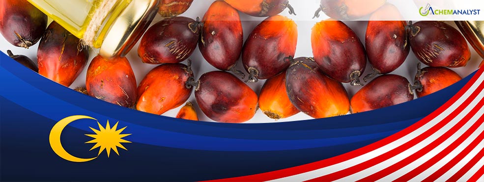 Malaysian Palm Oil Exports Show Strong Growth in 2024, with Positive Outlook for 2025