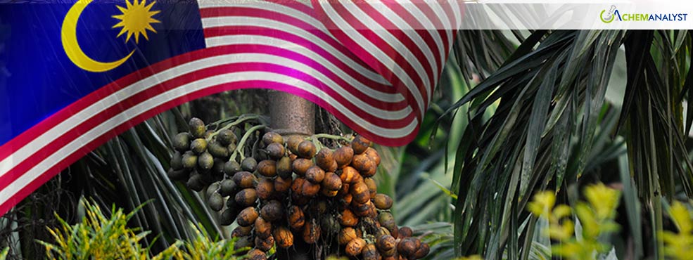 Malaysian Palm Oil Prices Rise on Stronger Rival Oils, Tight Supply Outlook