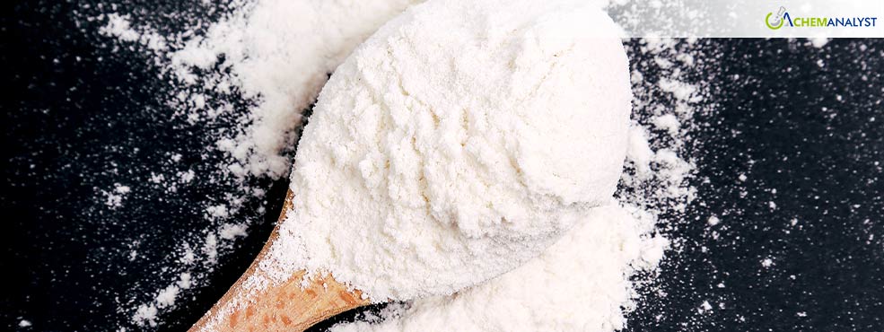 Malic Acid Market Braces for Dramatic Price Plunge in December 2024