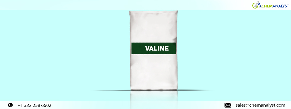 March 2024 Trends: Valine Prices Poised for Steady Surges on Rebounding Demand