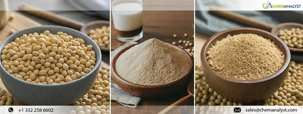 March Sees Continued Decline in Global Soy Protein Isolate Prices