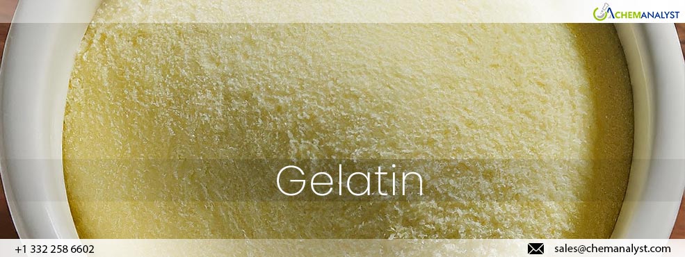 Market Disparities: Gelatin Prices Fall in Asia and US, Surge in Europe