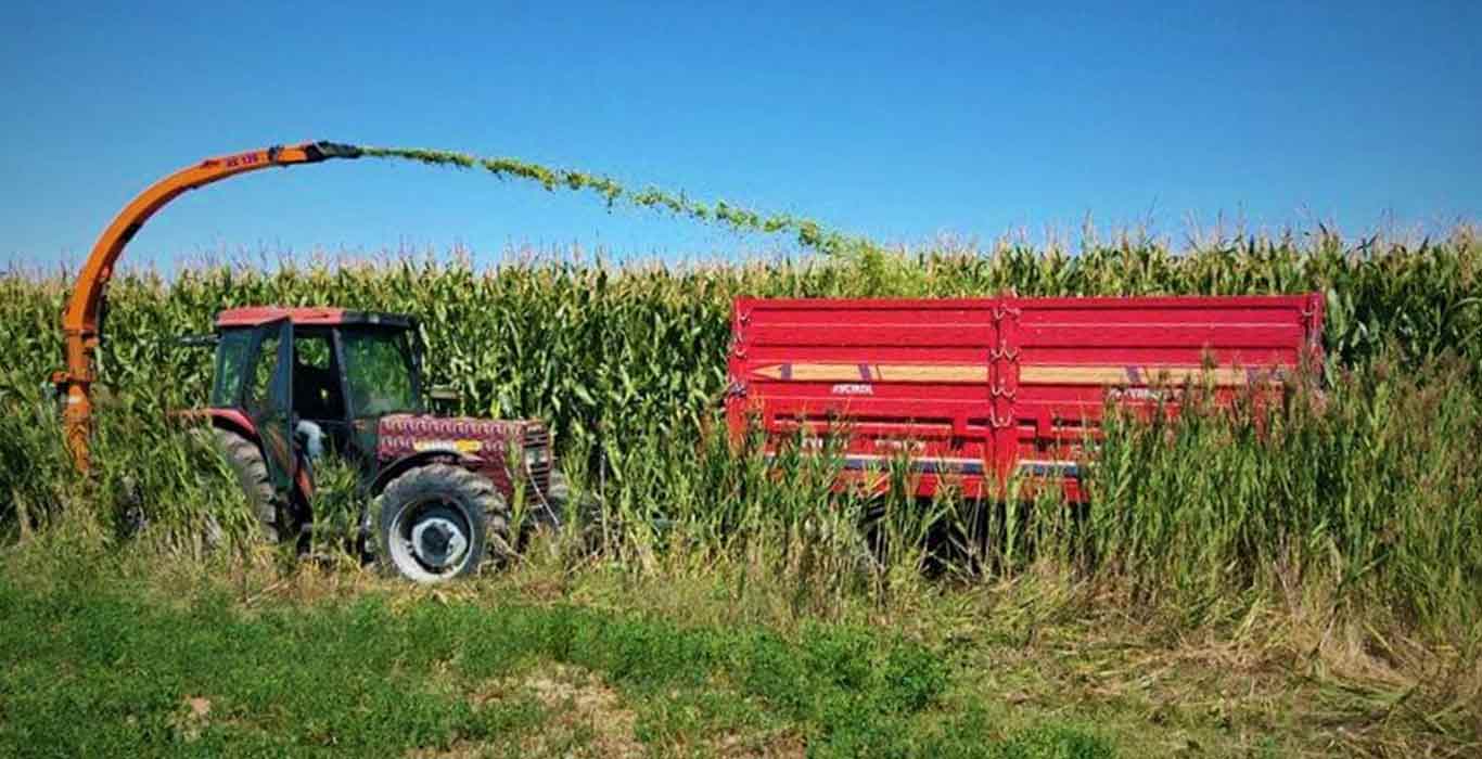 Mexico Plans to Prohibit Genetically Modified U.S. Corn Imports