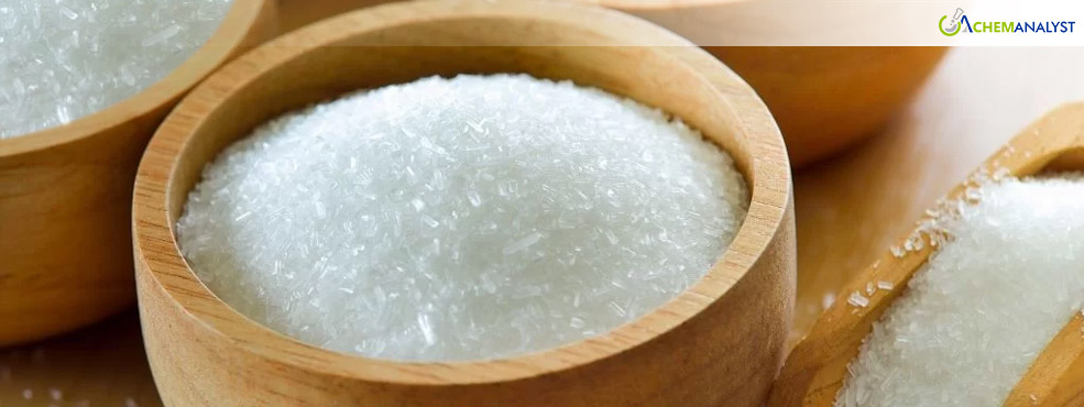 Monosodium Glutamate Prices Face Volatility Amid Shifting Market Dynamics