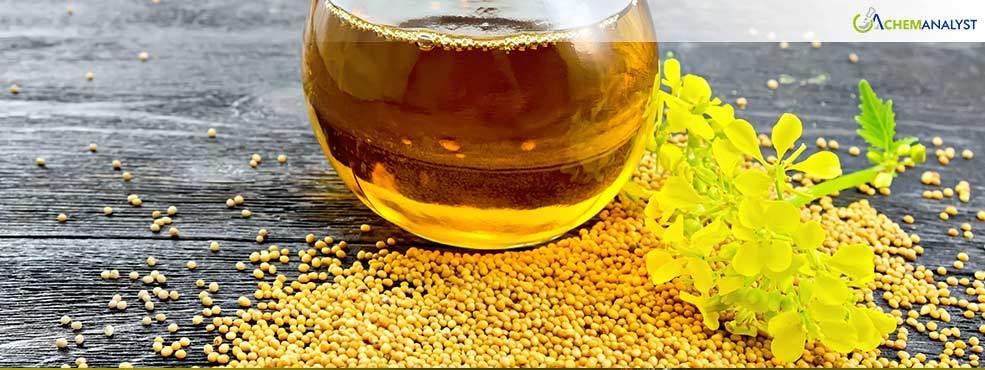 Mustard Oil Price Drop: Short-Term Relief, Long-Term Challenges Ahead for Producers