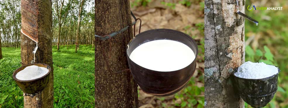 Natural Rubber Futures Experience Variations Amid Position Adjustments