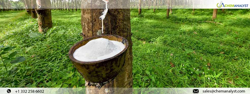 Global Natural Rubber Prices Set to Surge: Geopolitical Tensions and Climate Hurdles Create Perfect Storm