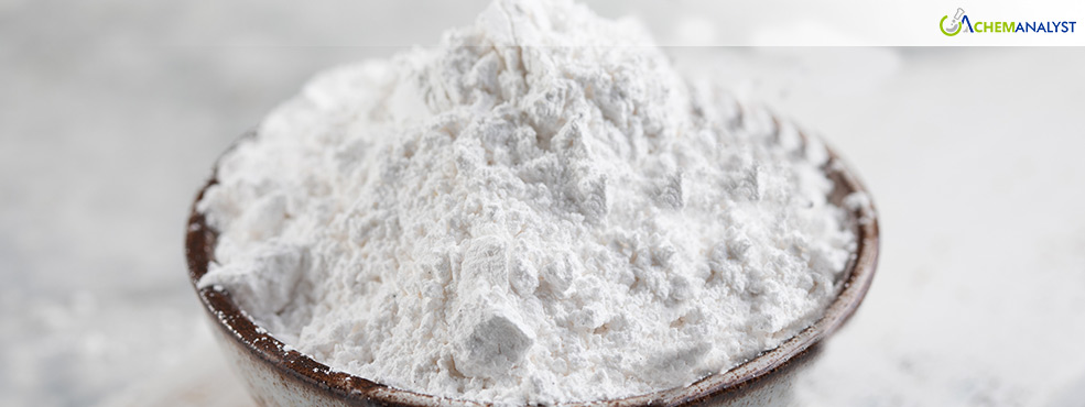 Navigating Market Turbulence: Rising Prices of Calcium Propionate in November