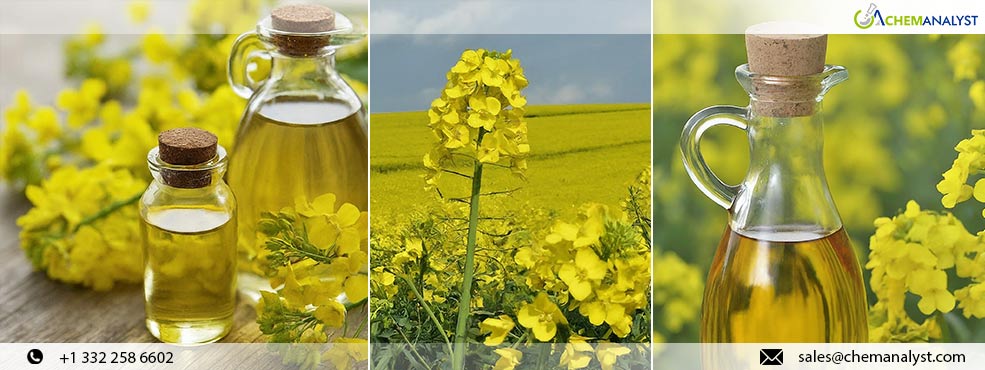 Oilseed Prices Rise Despite Global Supply; European Rapeseed Production Falls