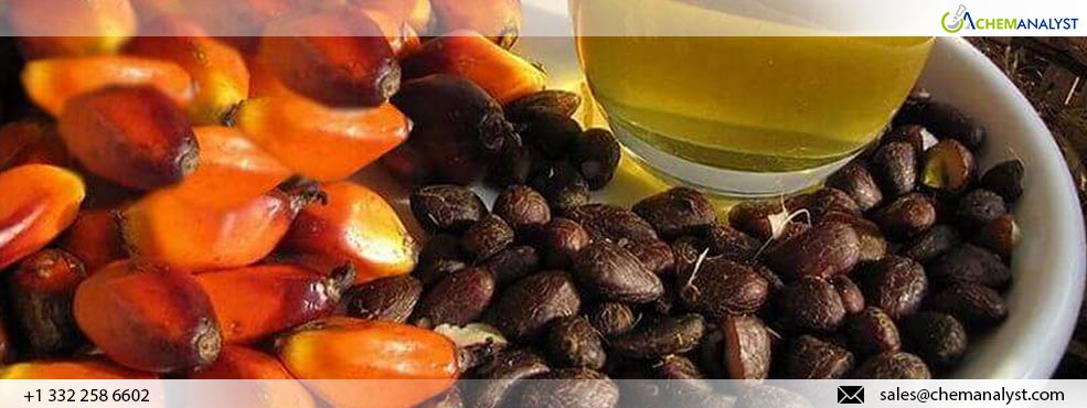 Palm Kernel Oil Prices Expected to Rise in July, Experts Say