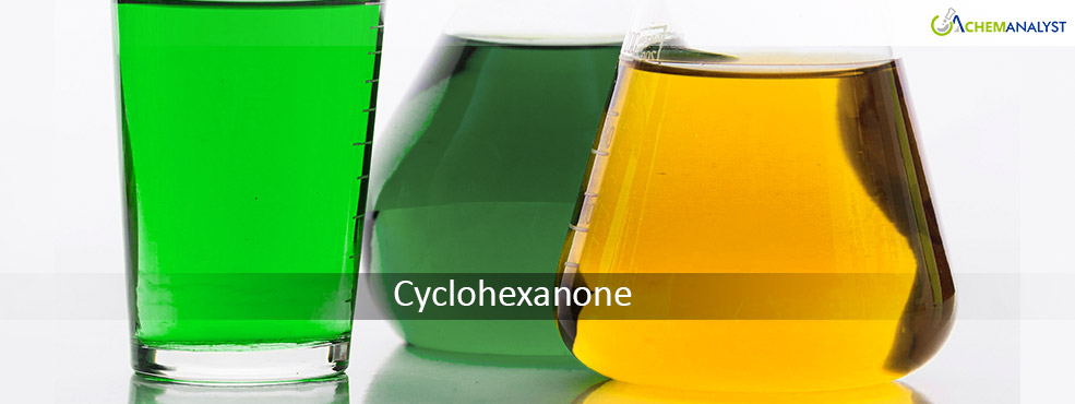 Post-Holiday Slowdown Keeps Cyclohexanone Prices Unchanged in the US and Europe