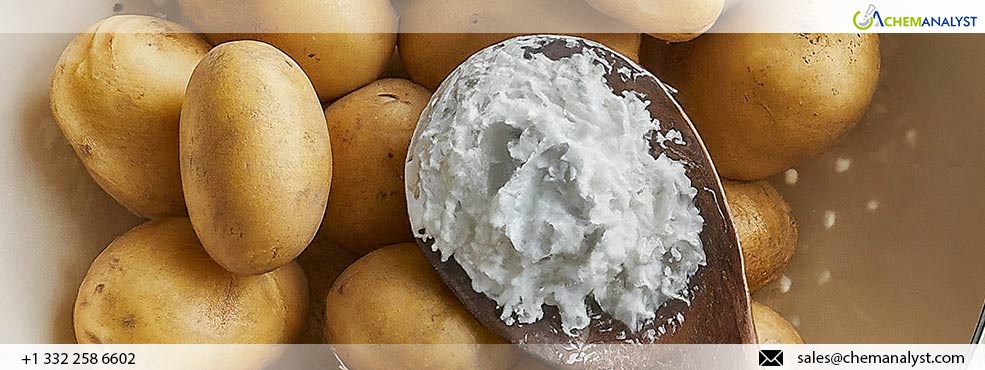 Potato Starch Prices to Climb Globally as Supply Tightens and Demand Grows