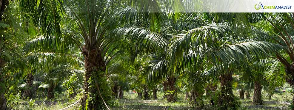 Prabowo Unveils Plans to Expand Oil Palm Plantations Amid Rising Demand