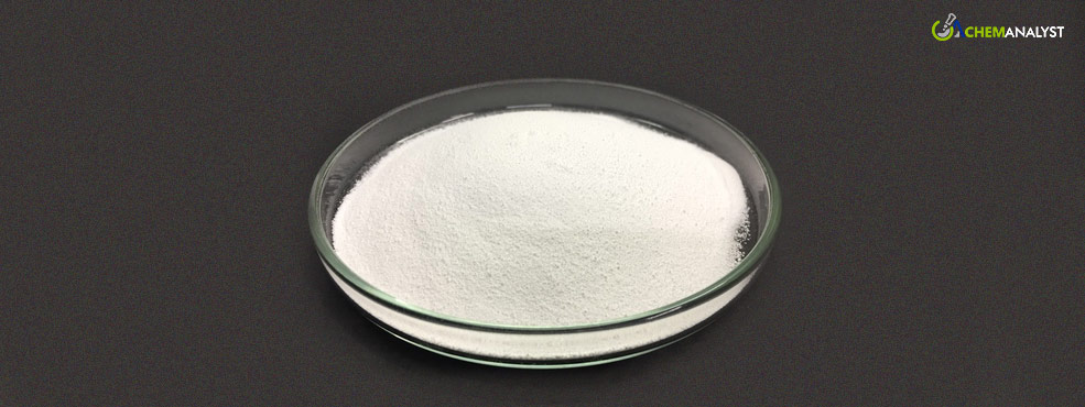 Projected Surge in Sodium Propionate Pricing Forecasted for February 2024