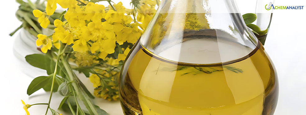 Rapeseed Oil Market Surges as 2025 Begins: Prices Stabilize Amid Uncertain Supply