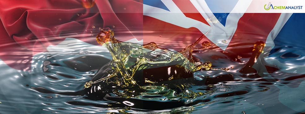 Review of Transition to Indonesian Biodiesel Imports in UK