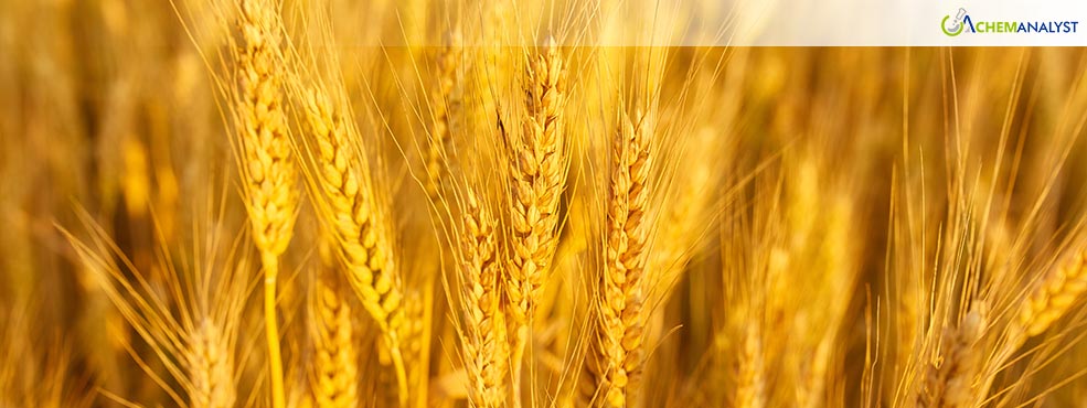 Russian Wheat Exports Show Shifting Dynamics as Marketing Year Progresses