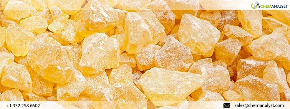 September 2024: Gum Rosin Asia Market Gains Ground While South America Faces Challenges