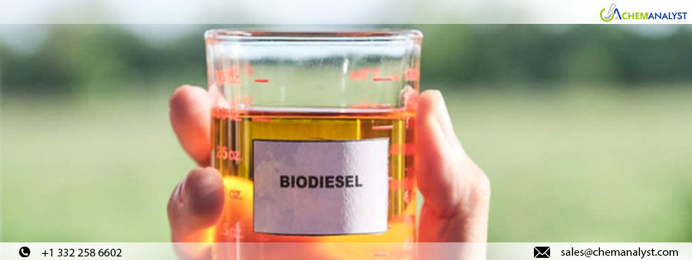 Shifting Winds: The Dynamics of Global Biodiesel Markets Amid Seasonal and Regulatory Changes