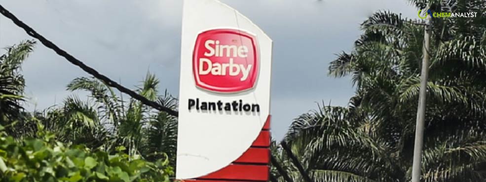 Sime Darby Plantation Foresees Prolonged High Palm Oil Prices in 2024