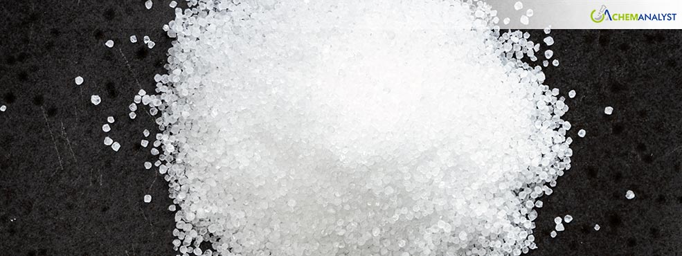 Sodium Nitrate Prices Show Volatility in Late 2024