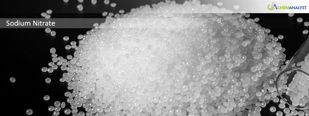 Sodium Nitrate Prices Slide in February 2025, Further Ease Anticipated