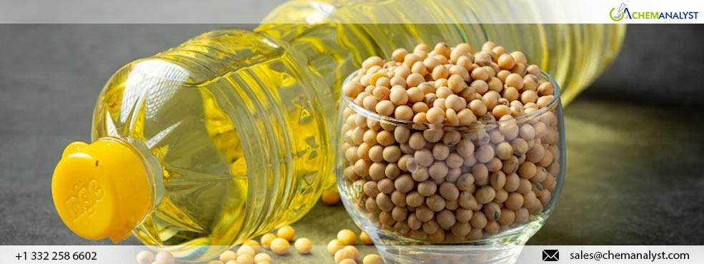 Soybean Oil Prices Expected to Decline in Coming Months