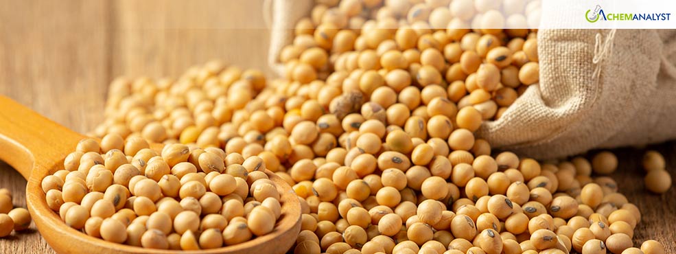 Soybean Rise, but Chinese Import Restrictions on Brazilian Cargoes Weigh on Market