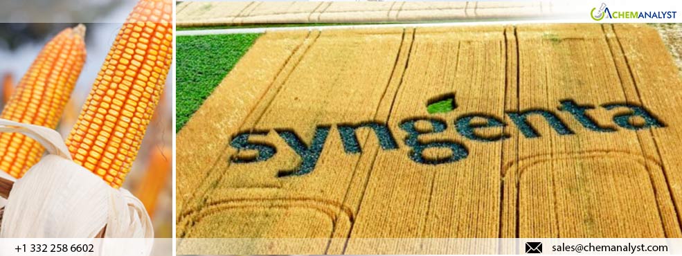 Syngenta Unveils Largest NK Seeds Corn Portfolio in 10 Years