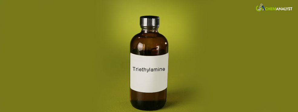 Triethylamine experienced a stability globally in amid unchanged supplier’s action