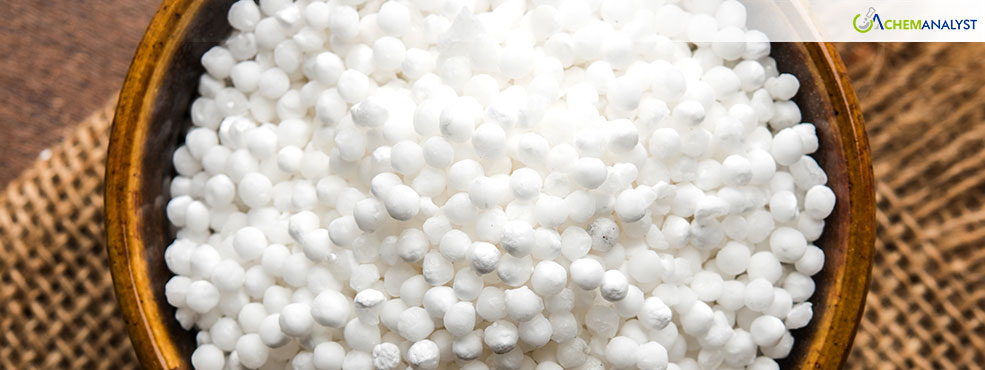 Urea Market Faces Mixed Sentiment Across Key Regions in November 2024