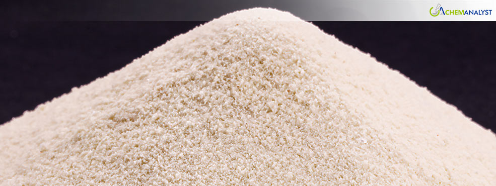 US Calcium Powder Prices Drop in January Amid Weak Demand and Economic Uncertainty