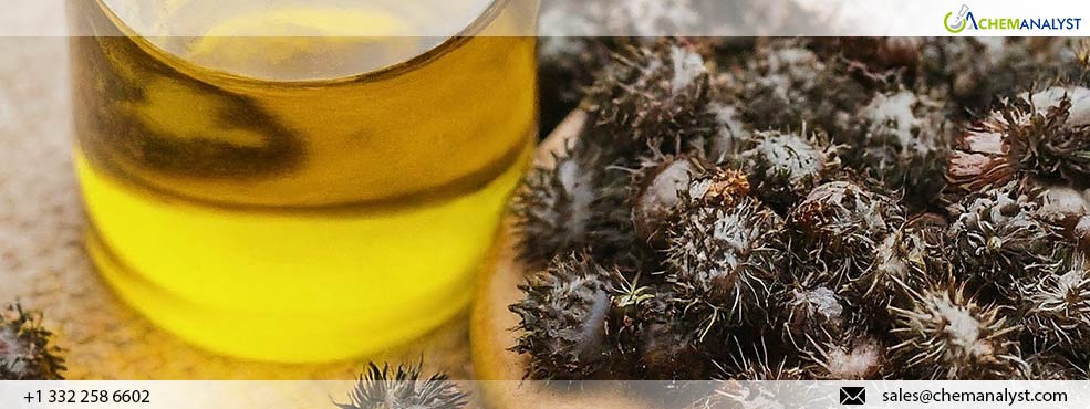 US Castor Oil prices surge in May Amid higher demand and Logistical Turmoil