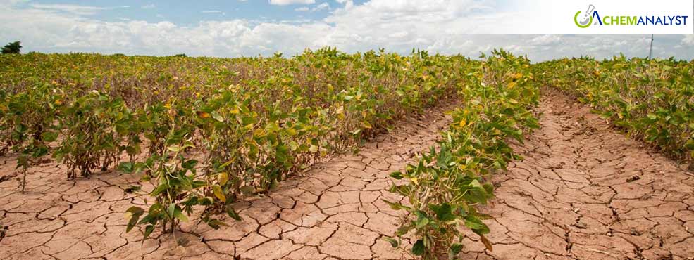 US Faces Unprecedented Drought Crisis: Agriculture Land Affected in 48 States