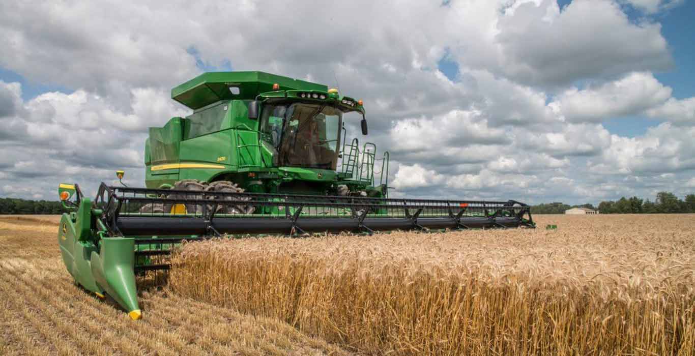 US wheat exports plunge to lowest level in 20 years